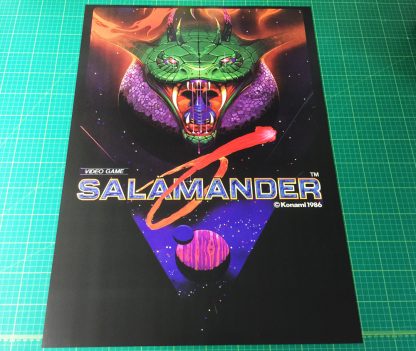 Salamander poster
