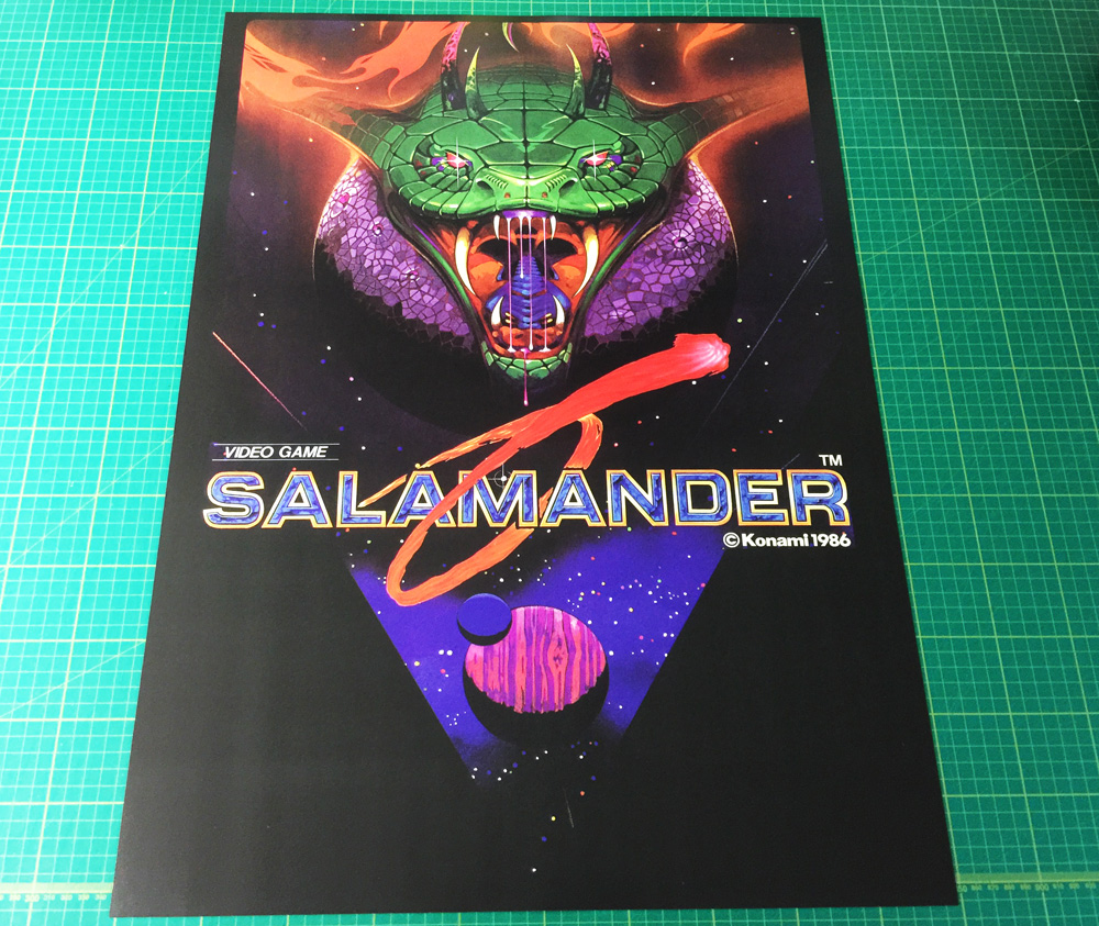 Salamander large arcade Poster 50x70cm Art Shop