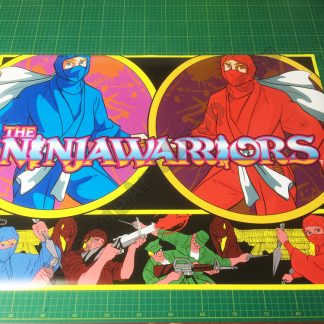 Ninja Warriors poster