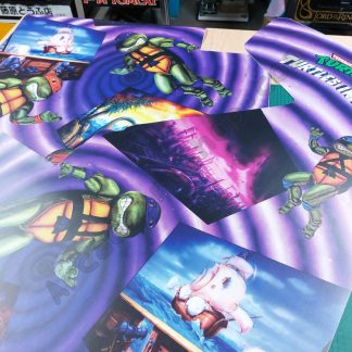 TMNT turtles in time USA dedicated cab side art set